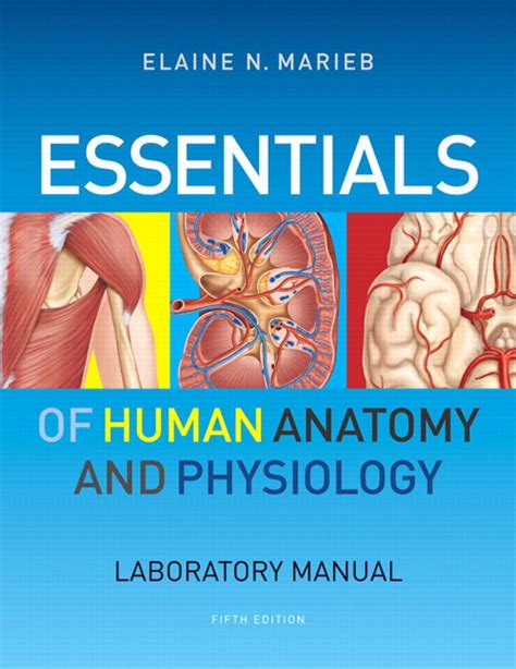 Marieb Essentials Of Human Anatomy And Physiology Laboratory Manual 5th