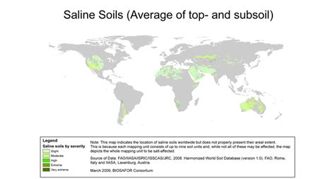 What Can We Do About Salinization Of Soils Ensia