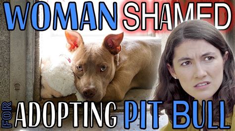 Woman Shamed For Adopting A Pit Bull Youtube