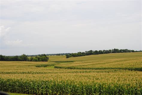 Kansas Corn Fields Farmland Stuff To Do World