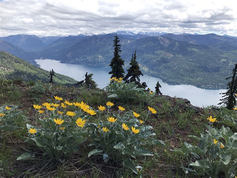 Mount Baldy — Washington Trails Association