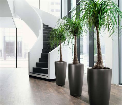 Our plant maintenance service provides complete care of the plants. 25 Awe Office Plants Interior Design Ideas - 13 Is Damn ...