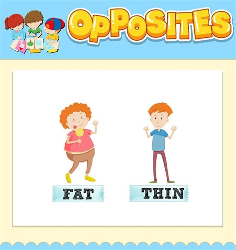 opposite words for fat and thin 6928581 vector art at vecteezy