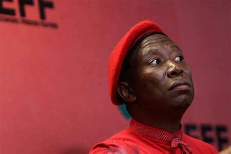 Land Expropriation Includes The Land Under Your Bonded House Says Malema