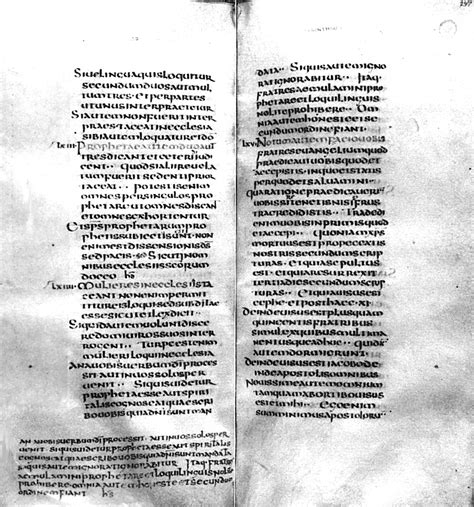 Codex Fuldensis The Second Most Important Witness To The Text Of The