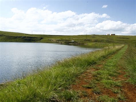 A surface system is the only means for drainage improvement on soils that transmit water slowly. Irrigation and Drainage - MBB Consulting Engineers