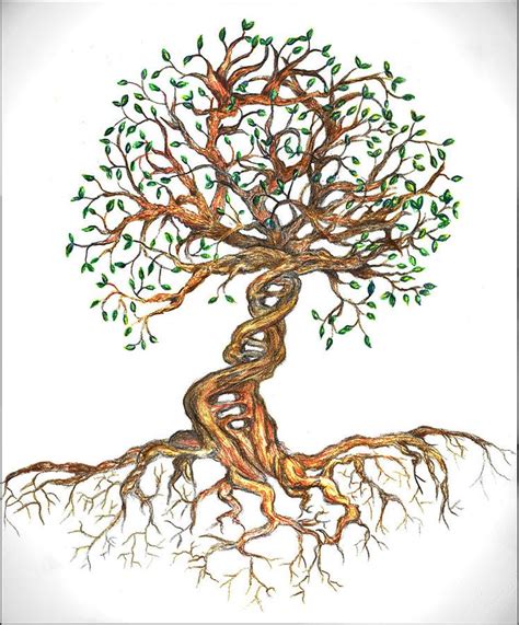 Tree Drawing Dna Tree Of Life By Joanna Aud Tree Of Life Art Tree
