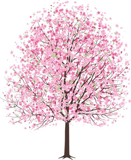 The Cherry Blossom Tree Blossom Trees Tree Art Cherry Blossom Tree