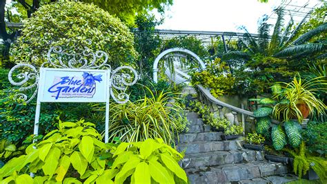 Garden Wedding Venue Quezon City Fasci Garden