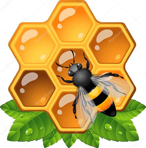 Download 58 honeycomb clipart cliparts for free. Bee on honeycomb — Stock Vector © jara3000 #11070809
