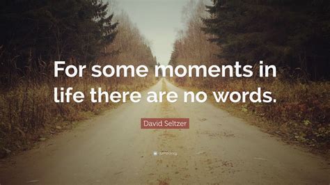 David Seltzer Quote “for Some Moments In Life There Are No Words”