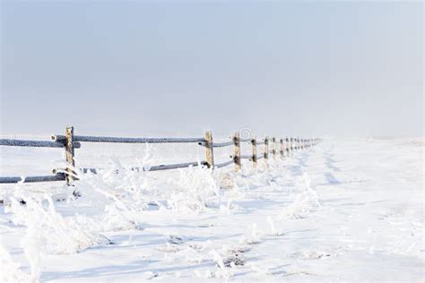 Frost And Snow Covered Wooden Fence In Winter Time Stock Image Image
