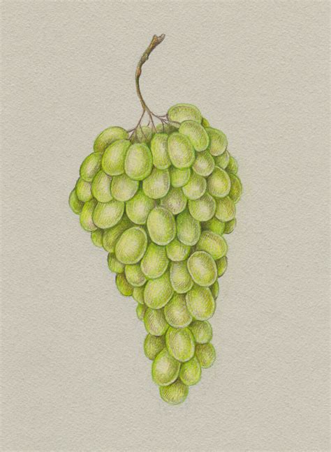 Retro neon lights add an interesting effect to clear objects and simple designs. How to Draw Grapes with Colored Pencils