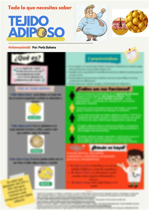 Solution Tejido Adiposo Infografía Studypool