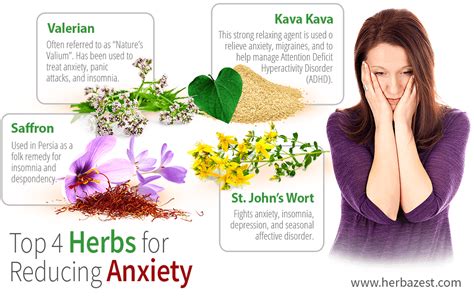 If you rely solely on herbs for anxiety, flower essences or other medicines and supplements to heal you, without making changes in your thought patterns in particular, they will have limited therapeutic value. Top 4 Herbs for Reducing Anxiety | HerbaZest