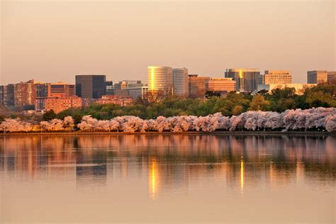 10 Things To Know Before Moving To Arlington Va 2024 Home And Money