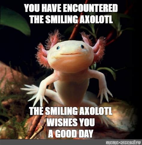 Meme You Have Encountered The Smiling Axolotl The Smiling Axolotl