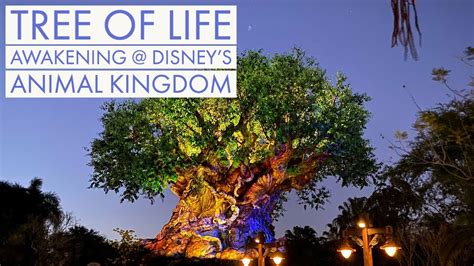 Disneys Animal Kingdom Tree Of Life Awakening Animalkingdom Youtube