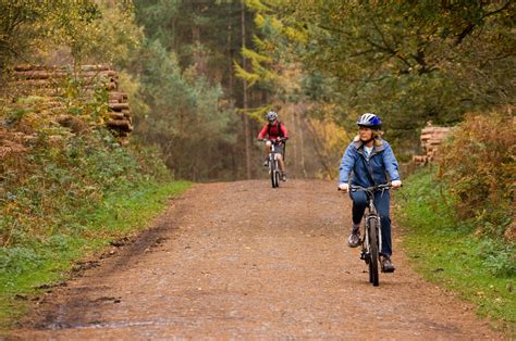 Cycling and mountain biking trails at Delamere | Forestry ...