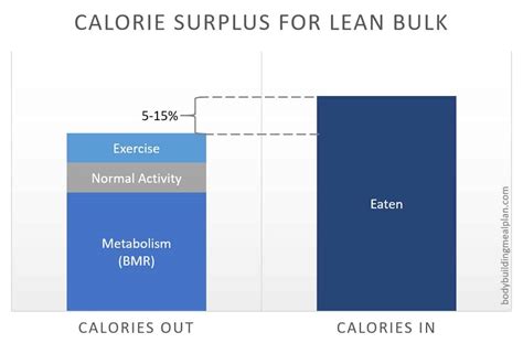 Lean Bulk Macros Calculated For You Nutritioneering