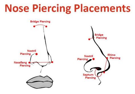 Nose Piercing Faqs Painfulpleasures Inc I