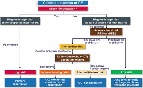 Pulmonary embolism (pe) intermediate risk. Medical Management of Pulmonary Embolism | Thoracic Key