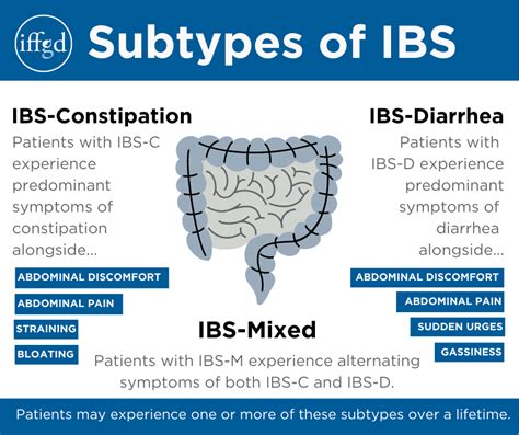 Subtypes Of Ibs Know The 3 About Ibs