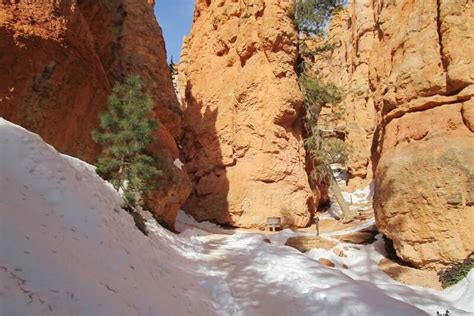 Navajo Trail In Winter Not A Loop Photos Bryce Canyon National Park
