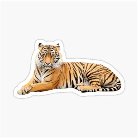 Tiger Sticker By Rooroor In 2021 Fierce Animals Tiger Stickers