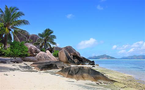 Nature Landscape Seychelles Island Beach Rock Palm Trees Sea