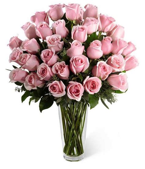 Two Dozen Long Stem Pink Roses Congratulations Flowers And Ts Buy