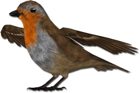 European Robin Png Hq Photo Png Arts