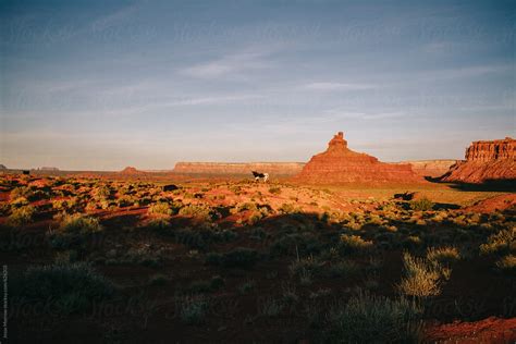 Flat Mesa Landscape Views Of Valley Of The Gods In Southwest Usa By