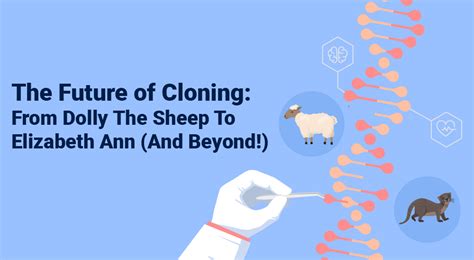 Important Things To Know About Cloning What Are The Advantages Of