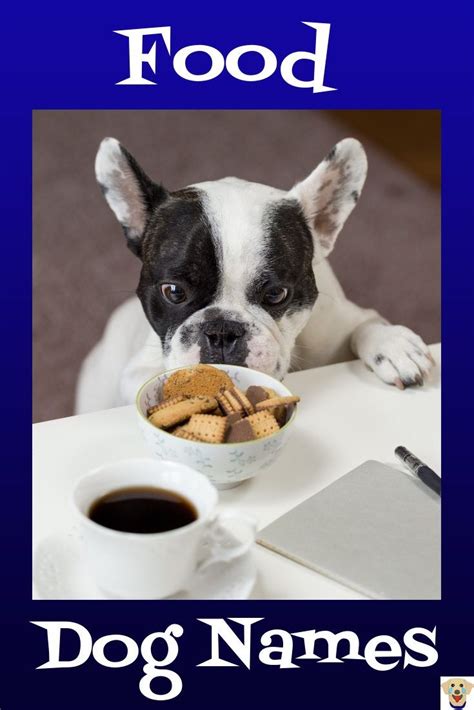 Check out these cute food names for dogs inspired by everything from desserts to pasta. Appetizing Food Names for Dogs to Satisfy your Hunger ...