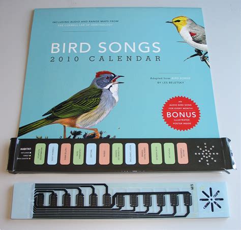Birdianoforte Circuit Bent Bird Song Calendar Ii Mickey Delp Dot Com