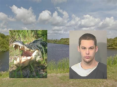 Florida Man Eaten By Foot Alligator After Jumping In Pond To Hide