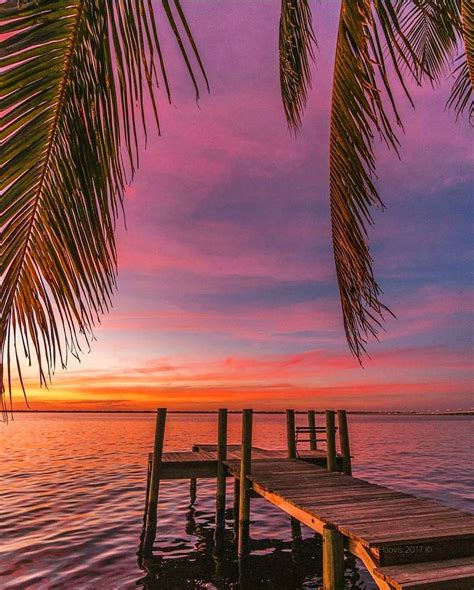 Stay Salty Florida ™ On Instagram “sunset From Ft Myers F L ☀️ R 🌴d A Photo Cred Hoovisyo