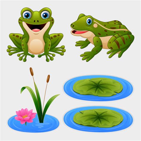 Frogs Jumping On Lily Pads Illustrations Royalty Free Vector Graphics