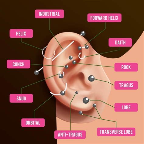 Types Of Ear Piercings Ear Piercings Chart Ear Pierced Lupon Gov Ph