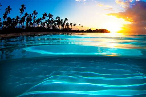 Hd Wallpaper Crystal Clear Body Of Water Liquid Sunset Sea Beach Palm Trees Wallpaper Flare