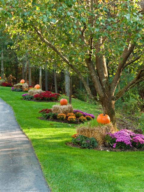 Driveway Landscaping Ideas Ideas Pictures Remodel And Decor