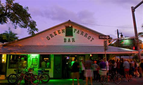 Welcome To Green Parrot Bar A Popular Hangout Spot In 2023 Bird Lover
