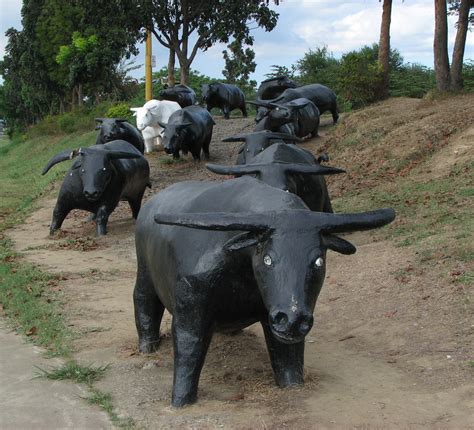 Map showing location of marikina in philippines. Facing the herd | Carabao statues, along the Marikina ...