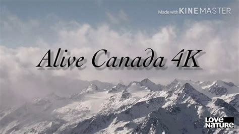 Alive Canada 4k Youtube