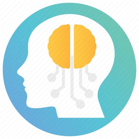 Anatomy Brain Head Human Brain Mind Icon