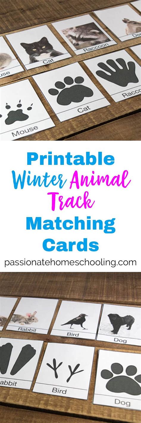 See more ideas about animal tracks, track, mammals. Free Printable Winter Animal Tracks Identification ...