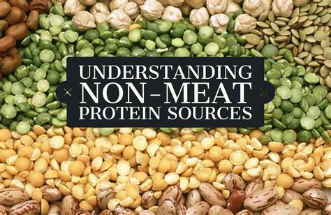 Non Meat Protein Foods - Food Ideas