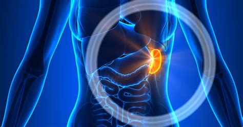 Cary Gastroenterology Associates What Is Enlarged Spleen Causes
