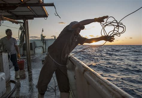 An Oil Spills Silver Lining Over Three Decades After Exxon Valdez